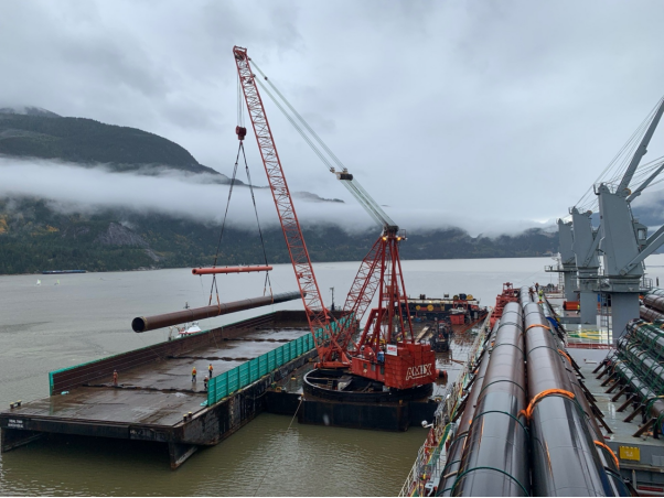 老水手看世界 - 四海之内皆兄弟 - 广交会