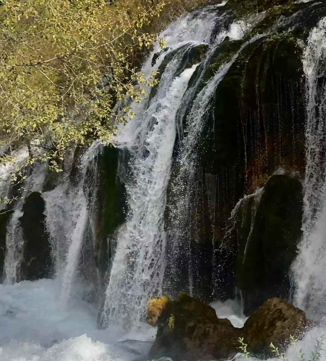 老水手看世界 - Jojo 洛杉矶租仓库做海外仓 