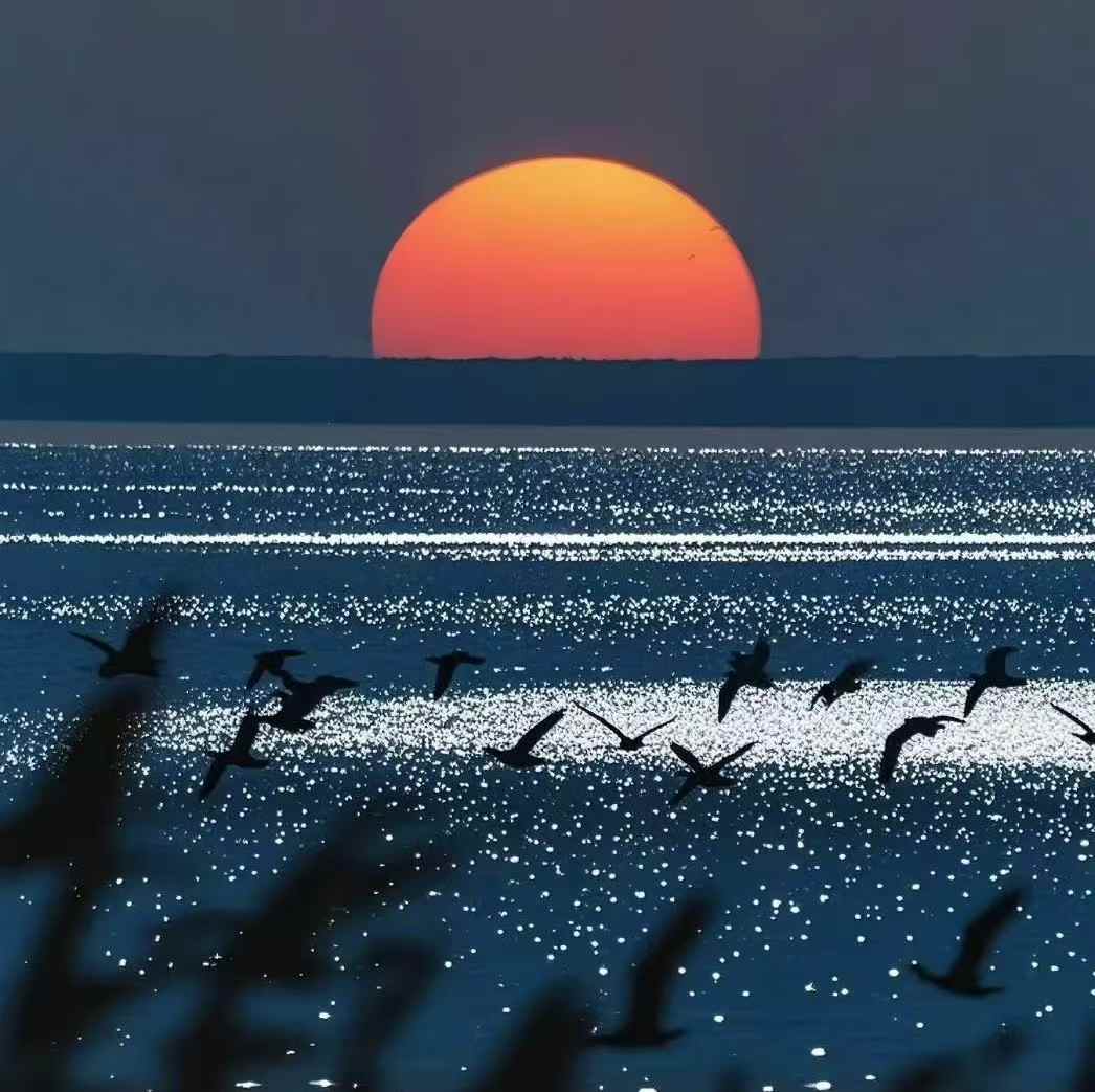 老轨断案 - 甲板货 有毒