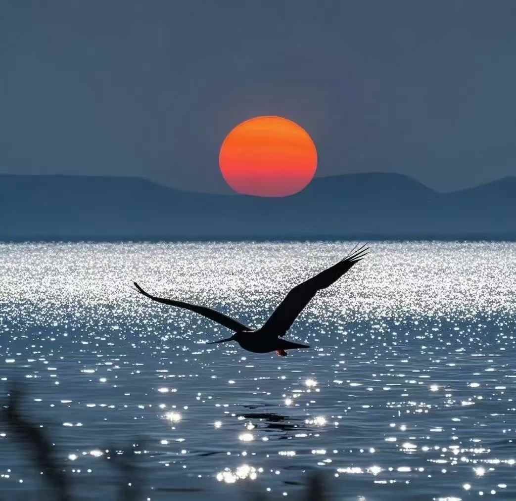 老水手看世界 - 天朝 . 大港口 . 简史